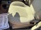 2006 Ford Focus SE