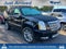 2013 Cadillac Escalade Platinum Edition