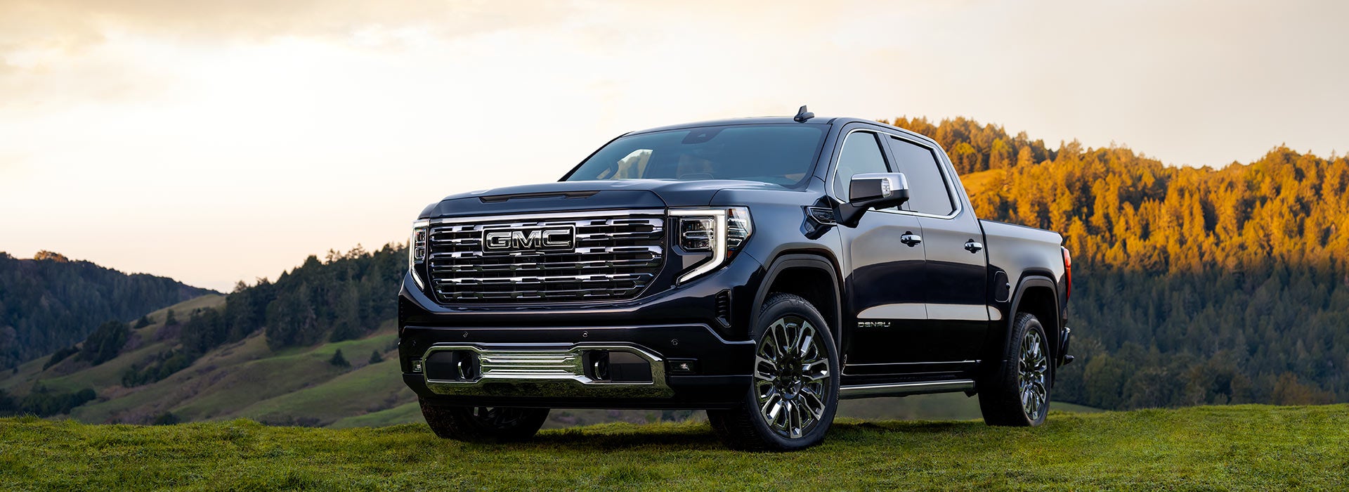 Harry's On The Hill in Asheville NC